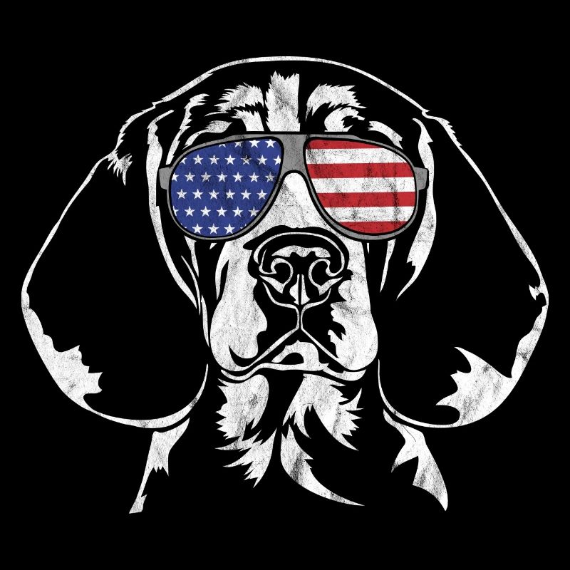 cru BEAGLE Amérique drapeau