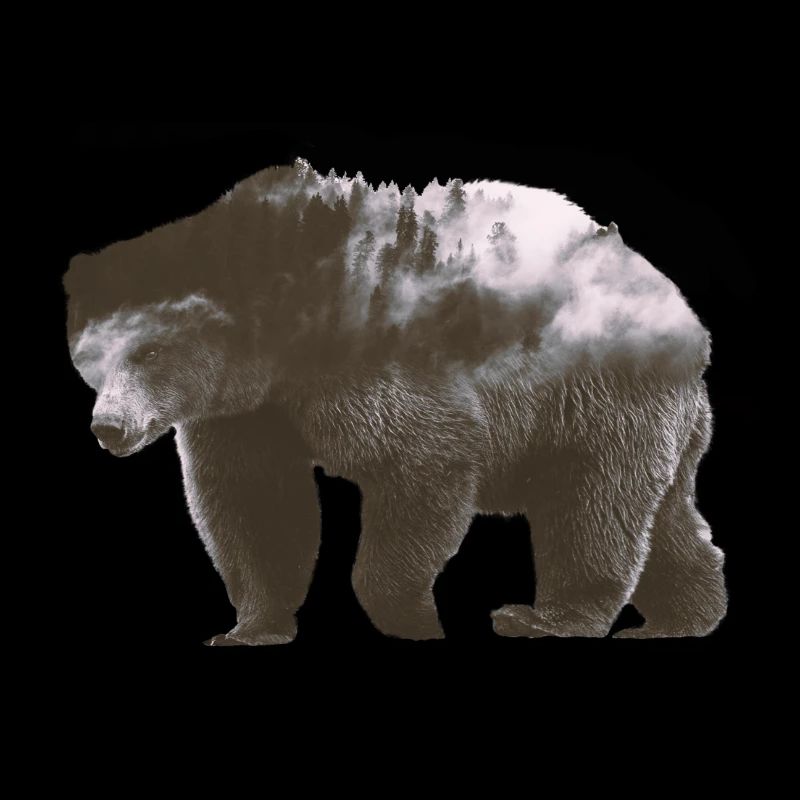 Ours