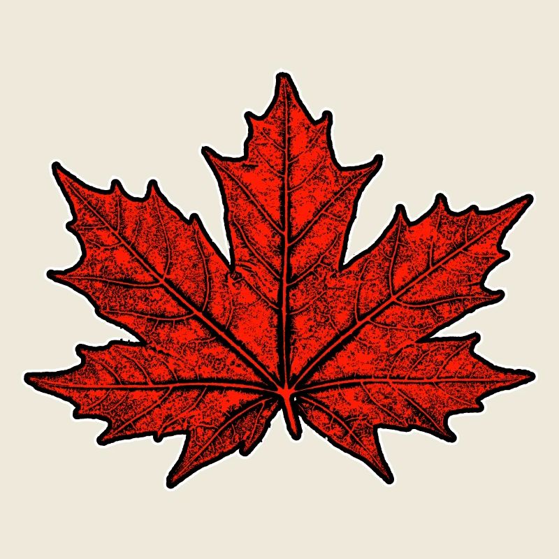 Maple / Leaf