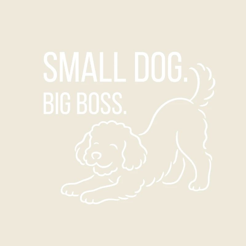 Zwergpudel, Malti-poo oder Königspudel 