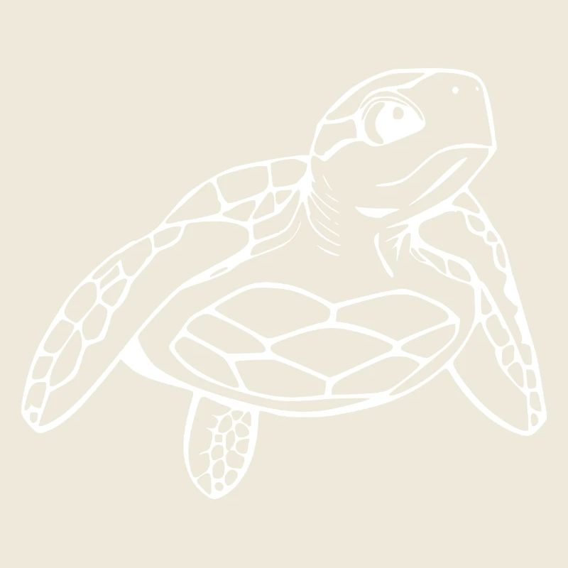 Turtle Turtles