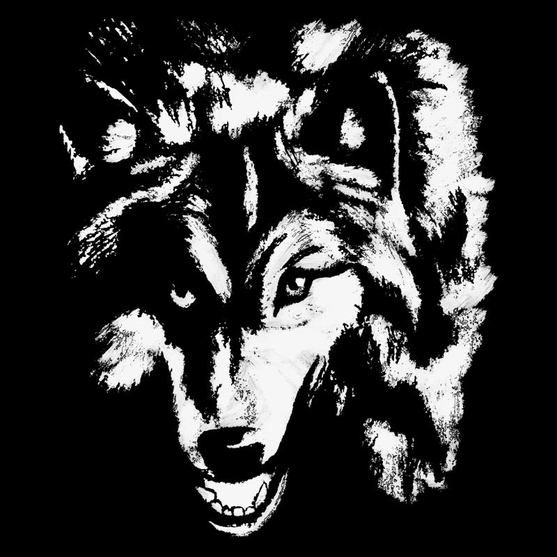 Le loup blanc