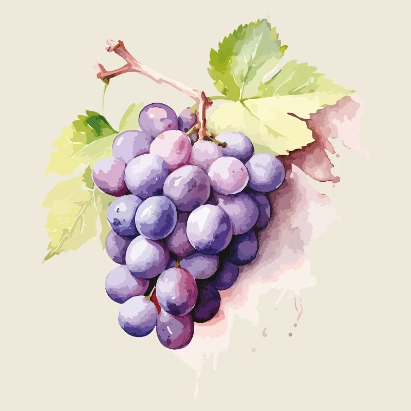 Grapes Watercolor Cluster