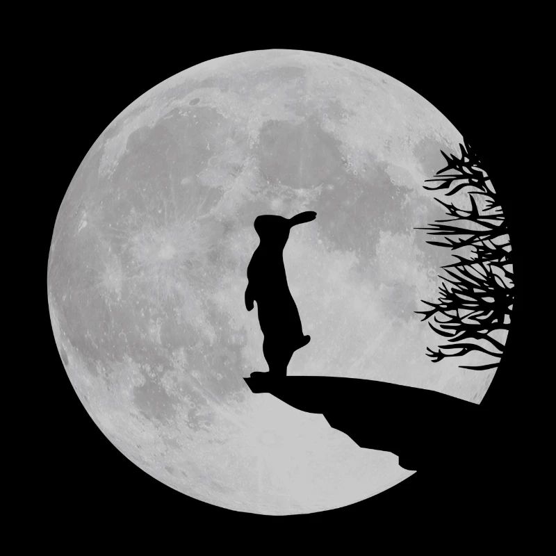 Wolfinchen rabbit bunny bunnies hare jackass moon