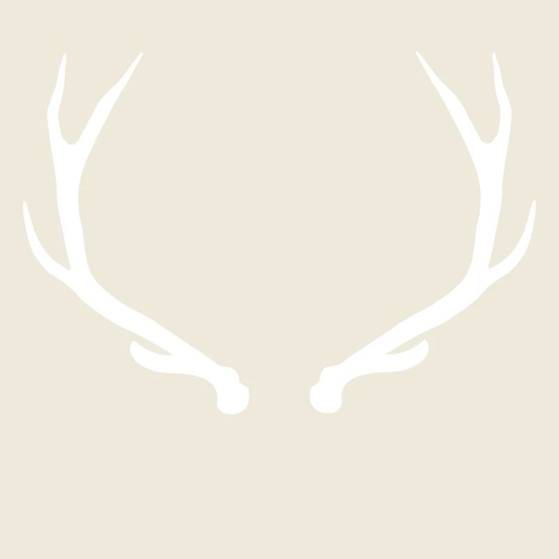 Hirsch - Hirschgeweih