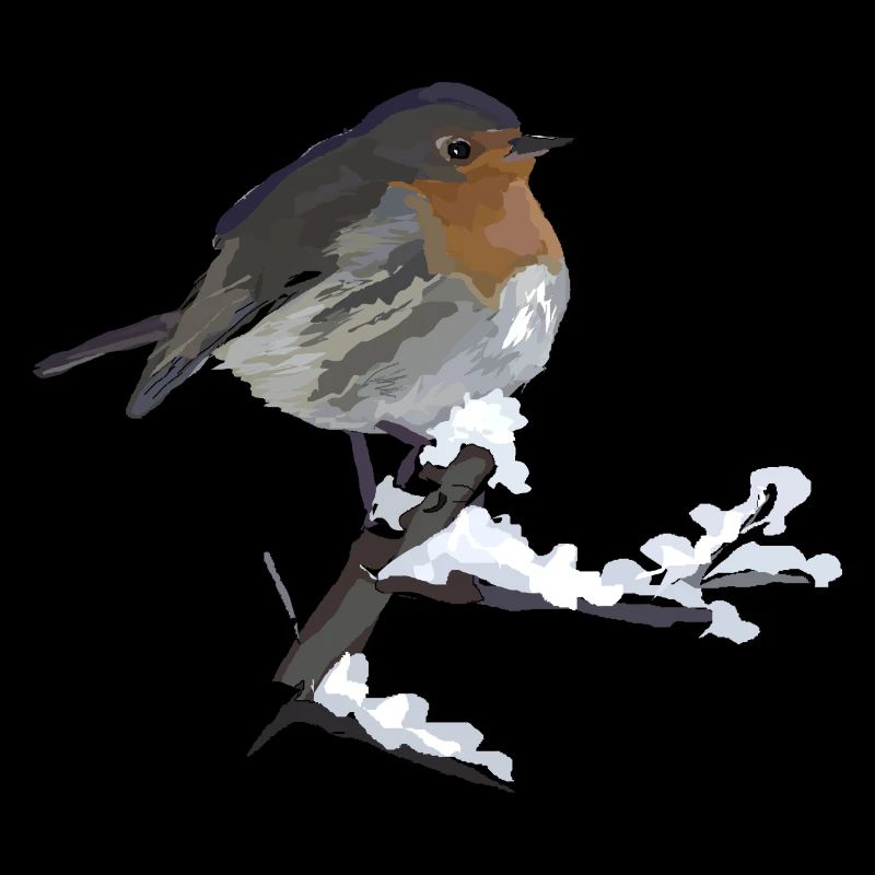 Rotkehlchen Winter Vogel Geschenk Schnee kalt Idee