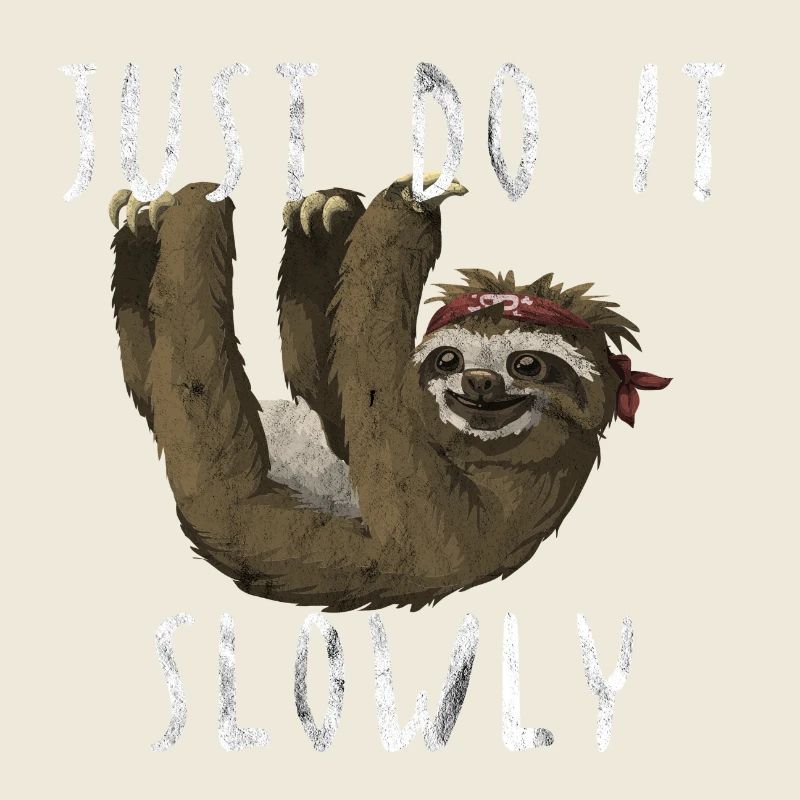Just do it Slowly sloth gift idea