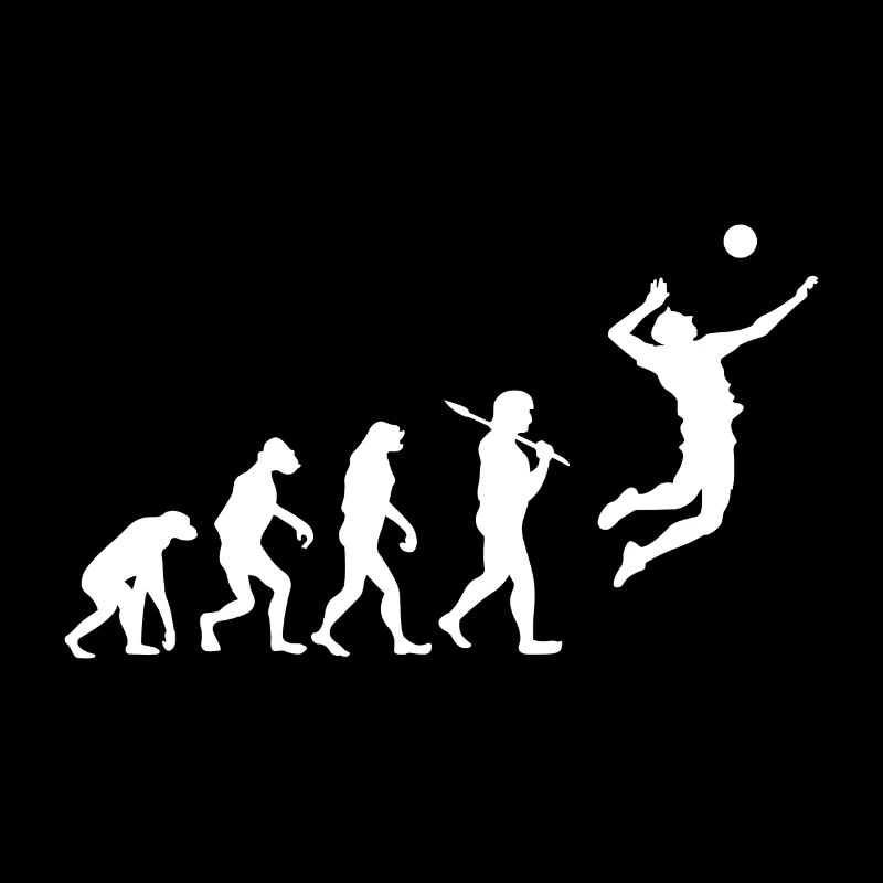 Evolution Volleyball Spieler Geschenk Sport Volley