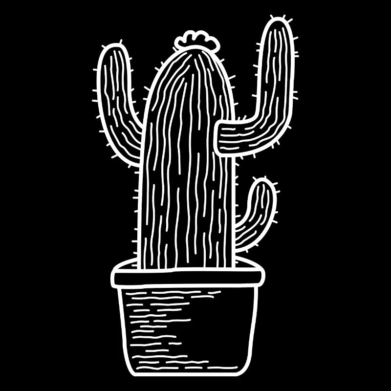 Cactus cactus cadeau plante épineuse du désert