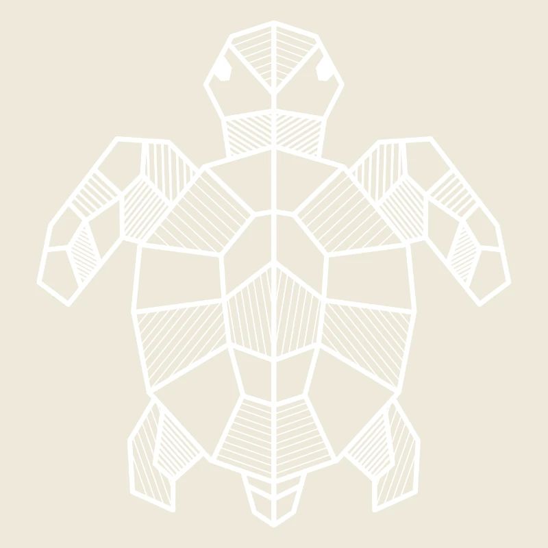 Turtle Geometric Gift Triangle Hipster