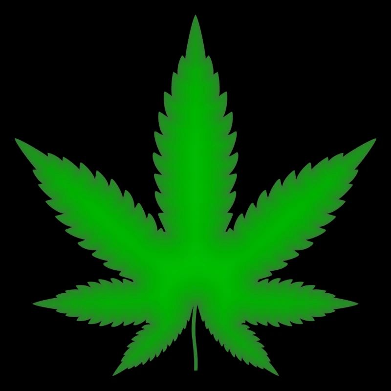 Marijuana leaf