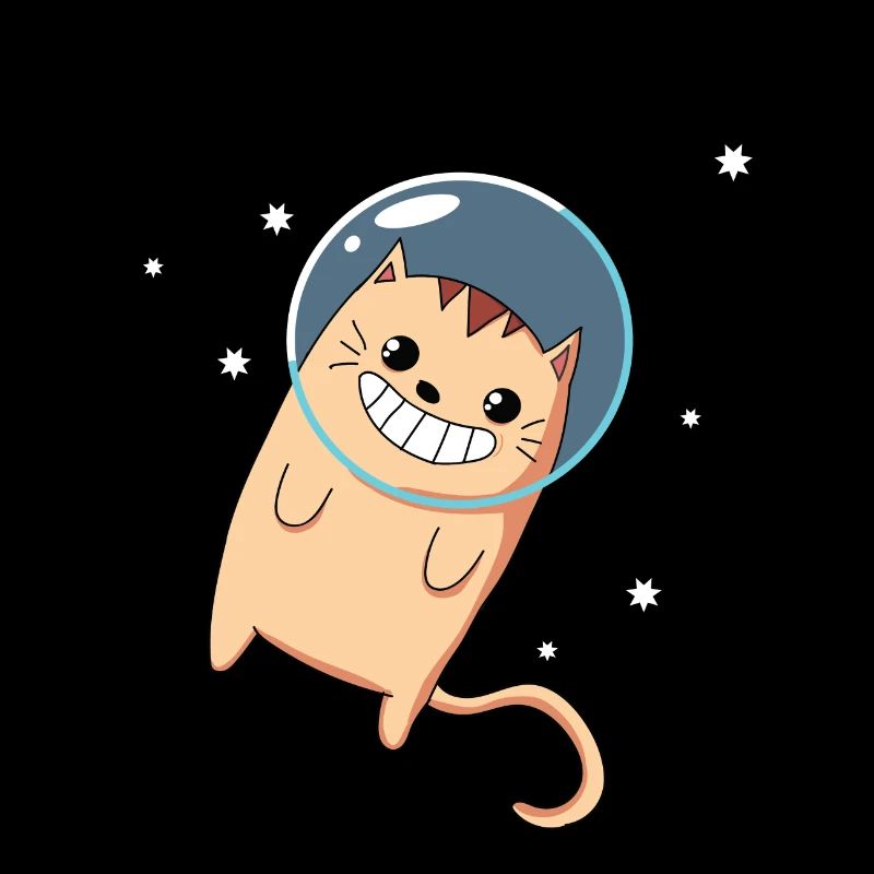 Chat - Espace extra-atmosphérique - Chaton - Espace extra-atmosphérique