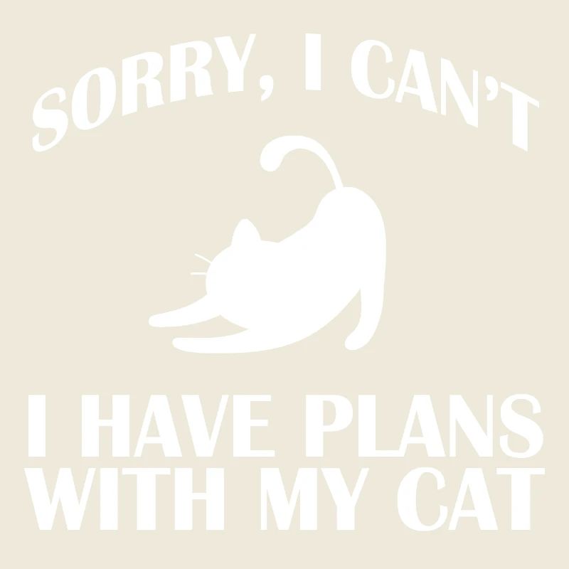 Chat chat minou Minou Chat Minou