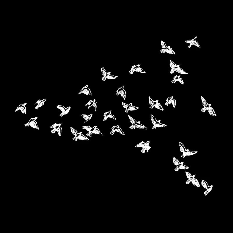 Vögel