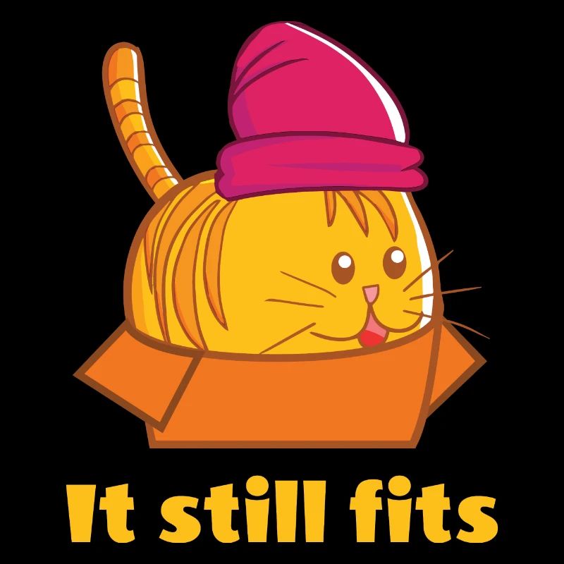 It Still Fits - Dicke Katze in Karton