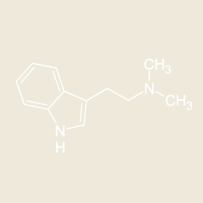 DMT