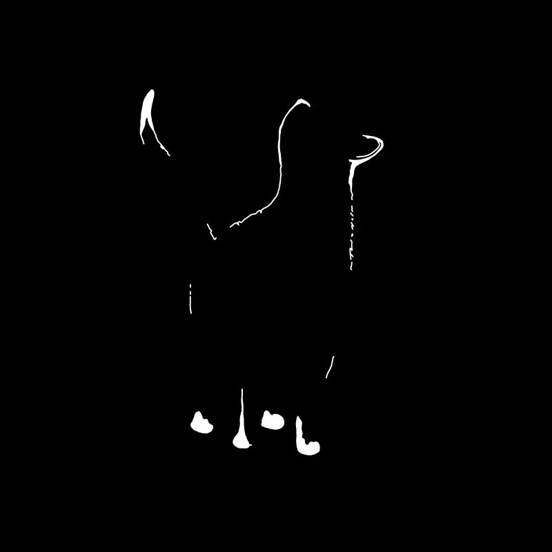 Katzen Silhouette