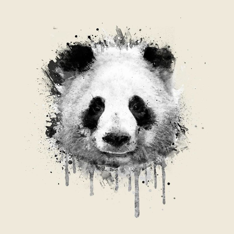 Cool Artistic Panda Portrait conception d'aquarell