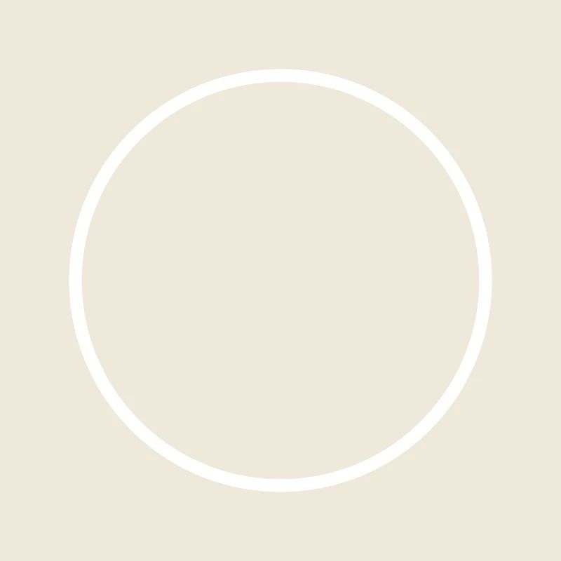 Circle ring shape icon white