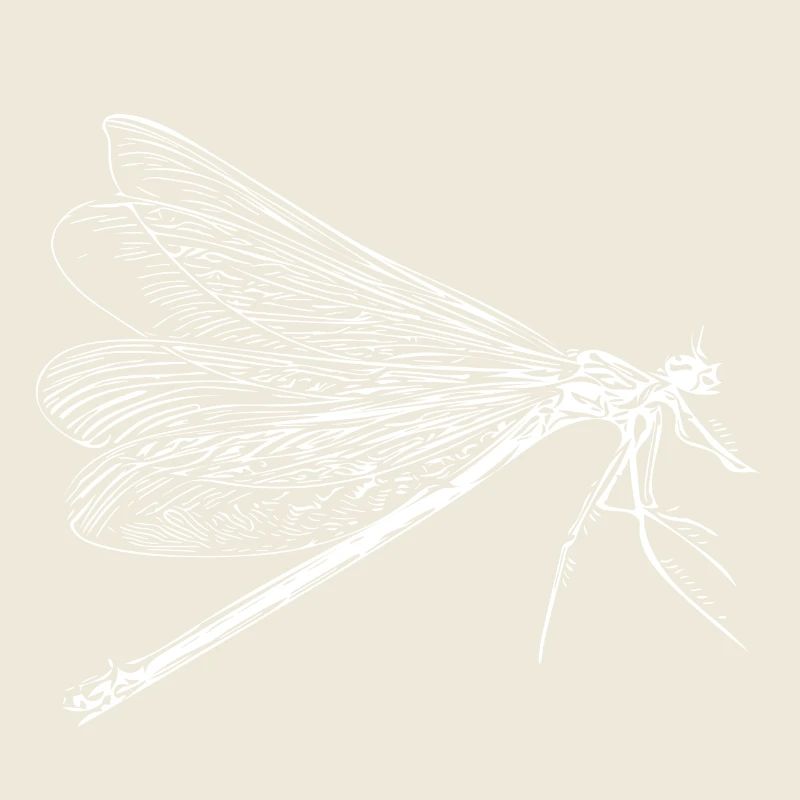 Vintage dragonfly