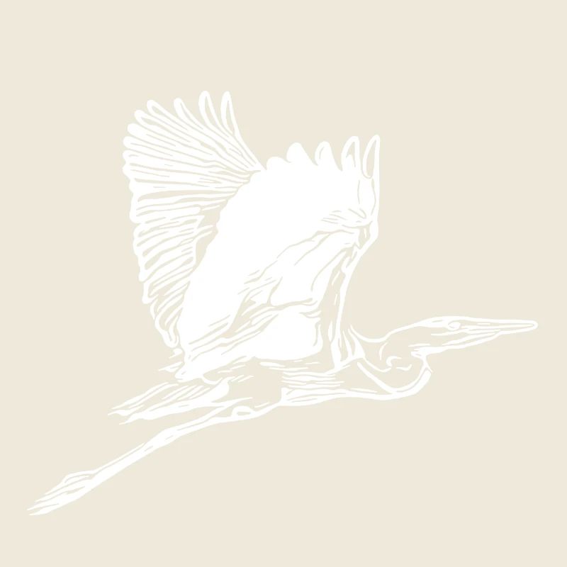 Vintage grey heron in flight