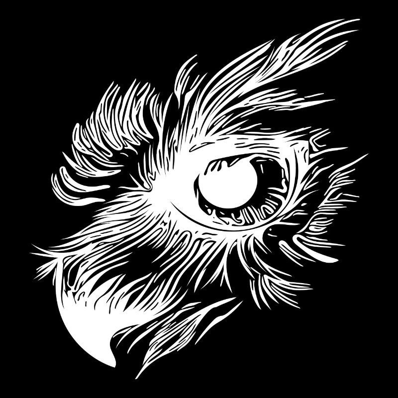 Bec de hibou - oeil de hibou