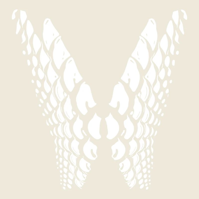 Points géométriques en forme d’aile