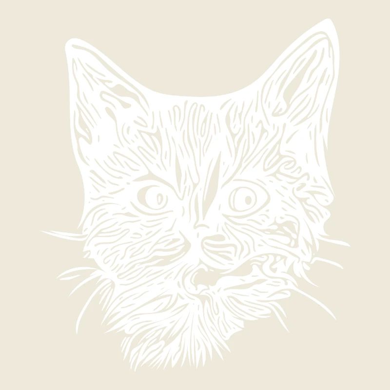 Chaton mignon et mignon