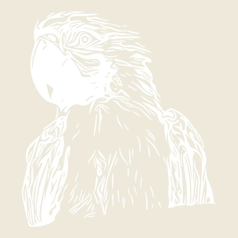 Parrot Portrait Vintage Bird Drawing
