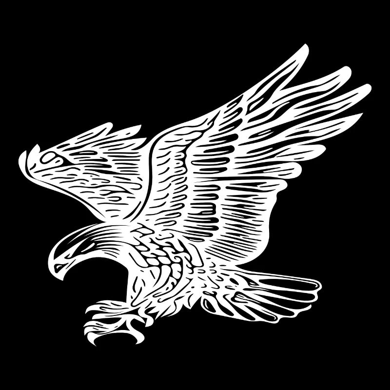 Eagles in flight for bird lovers and falconers