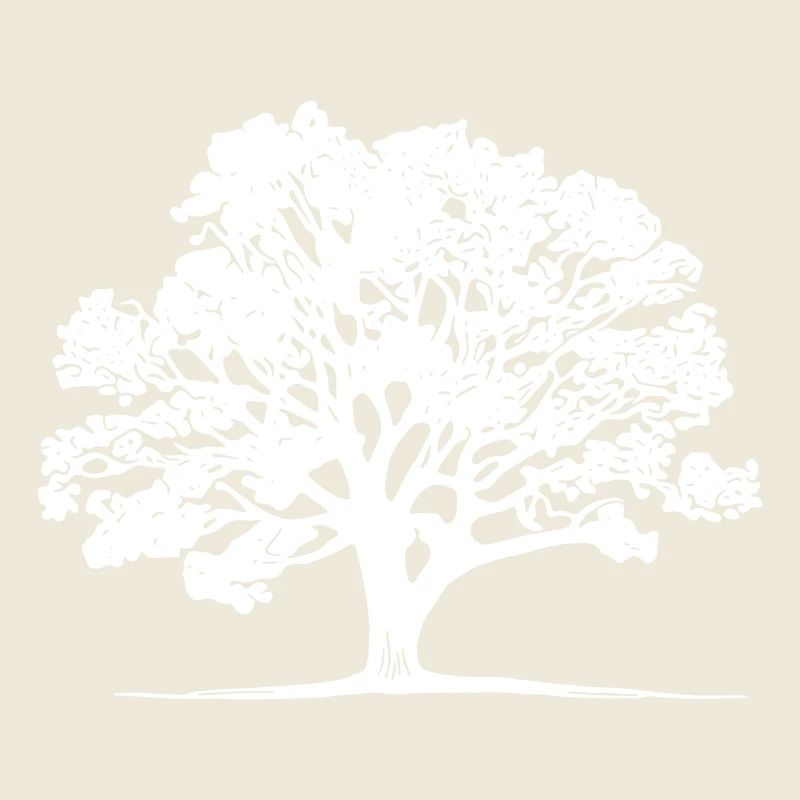 Bel arbre dans le champ à l’horizon