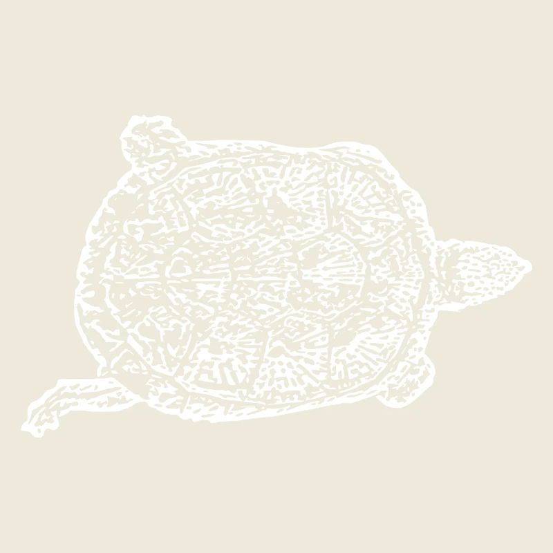 Turtle Turtles