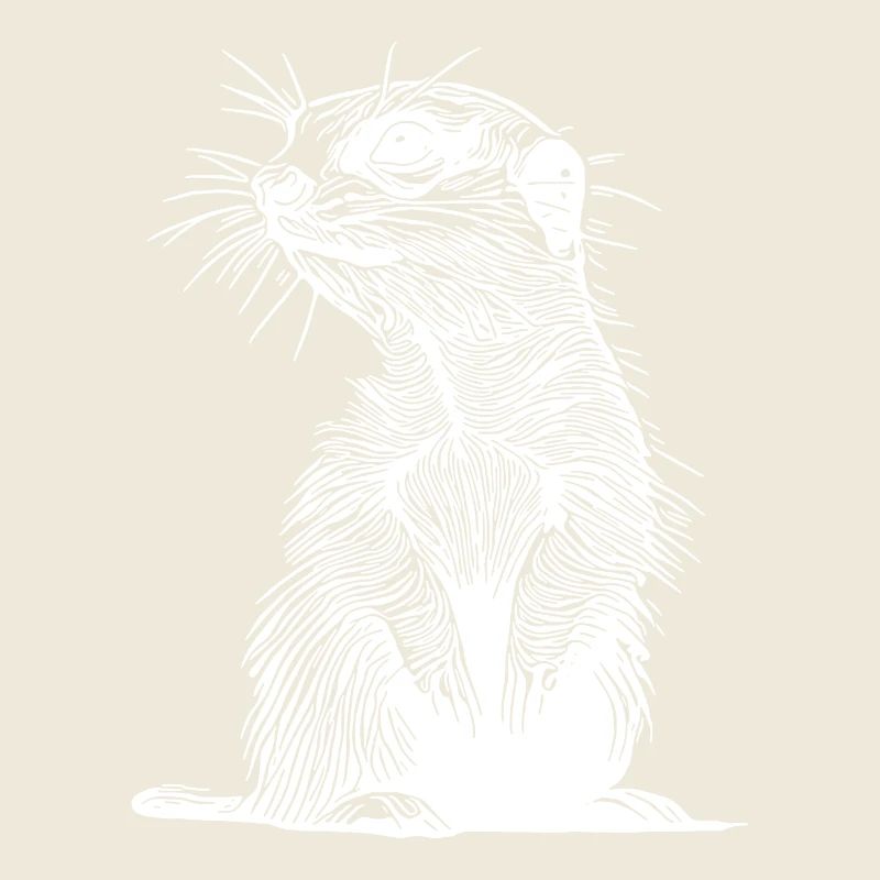 Putziges Erdmännchen mit Fell und Querstreife