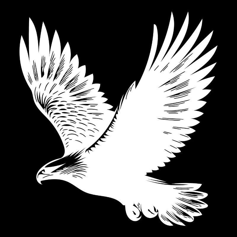 Aigle élégant sur d’immenses ailes