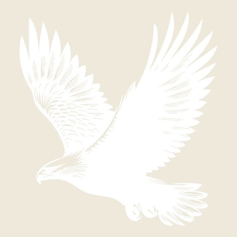 Elegant eagle on huge wings