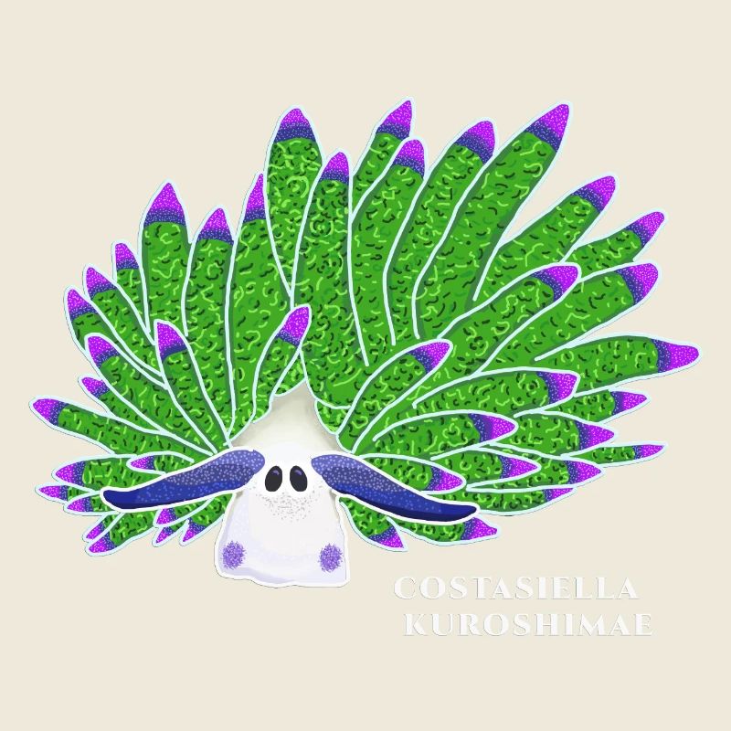 Escargot De Mouton Feuille, Dessin