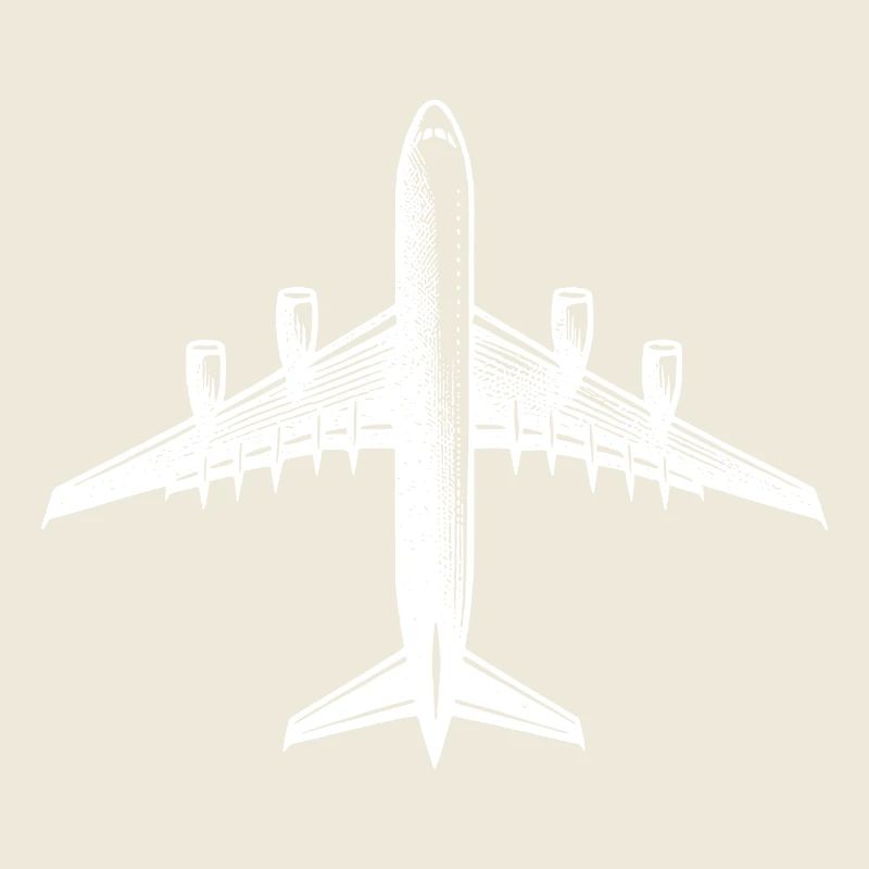 Jet Airplane for Hobby RC Pilots Large RC Model