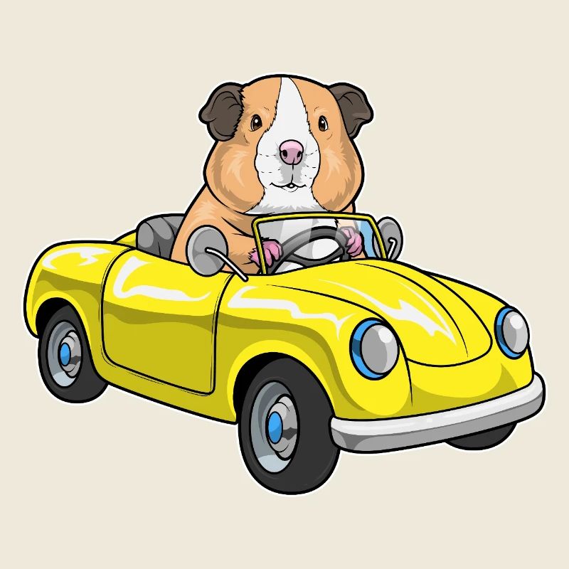 Voiture cochon d’Inde