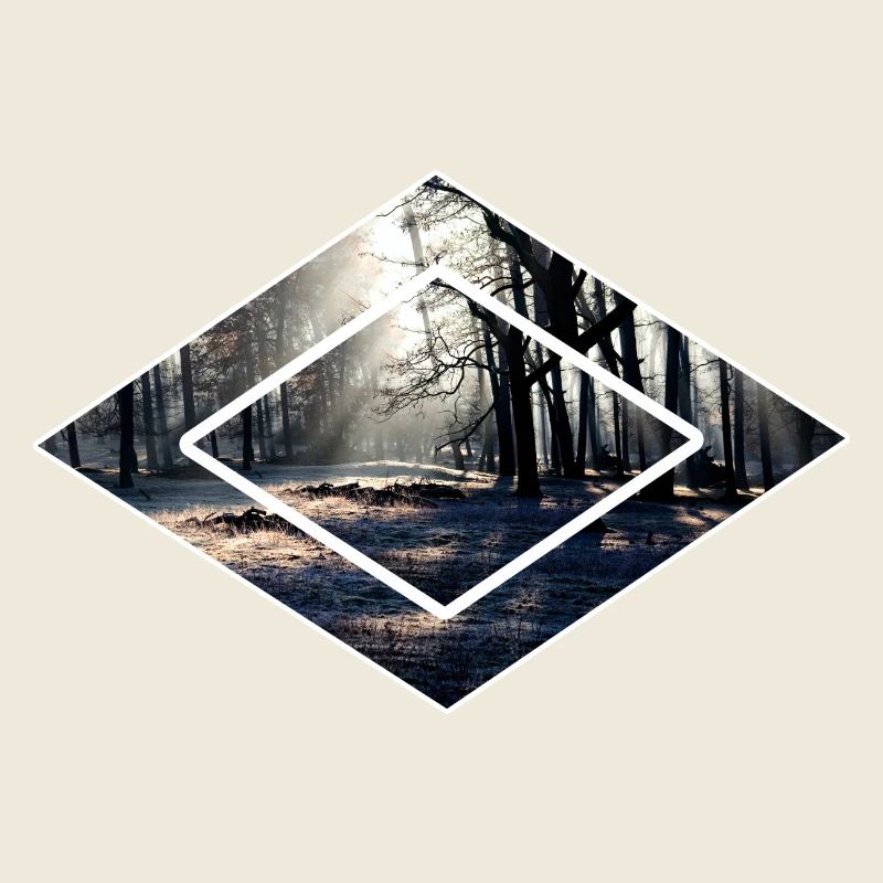 forêts Waldische dans la forêt