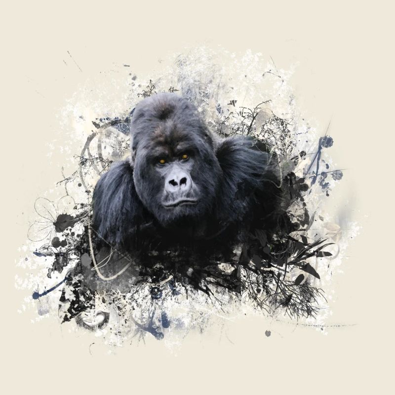 gorilla