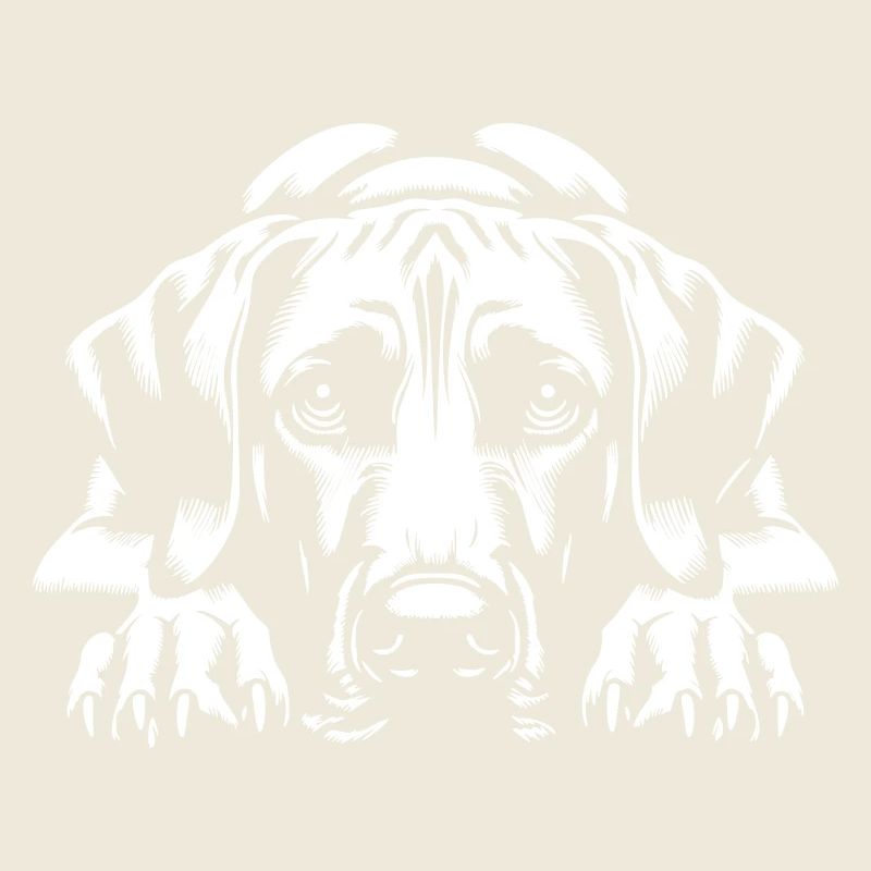 Rhodesian Ridgeback « Édition Noire »