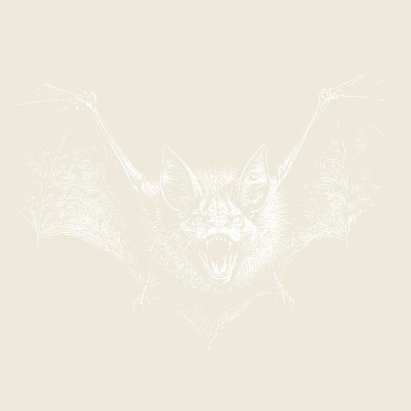 Bat