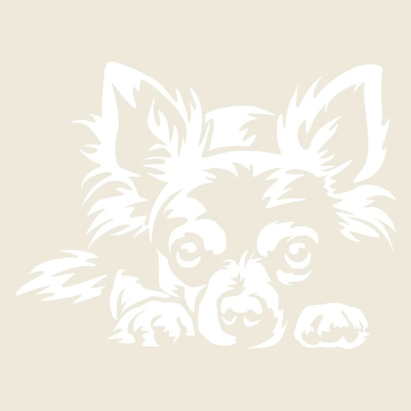 Chihuahua "Black Edition"