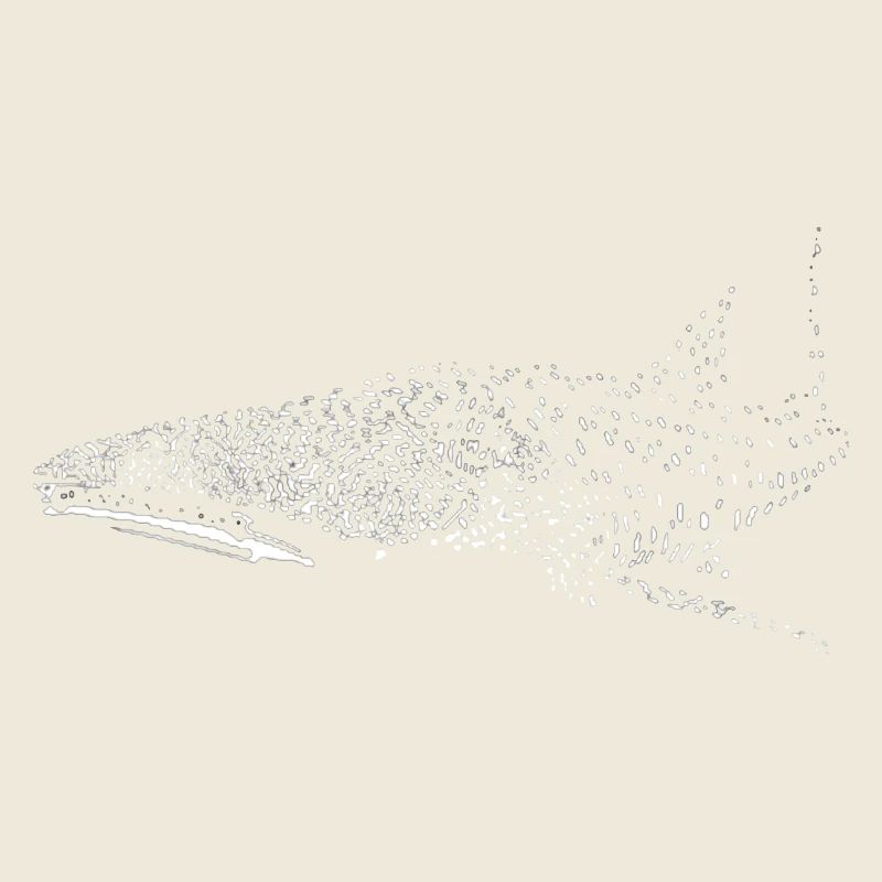 Requin-baleine