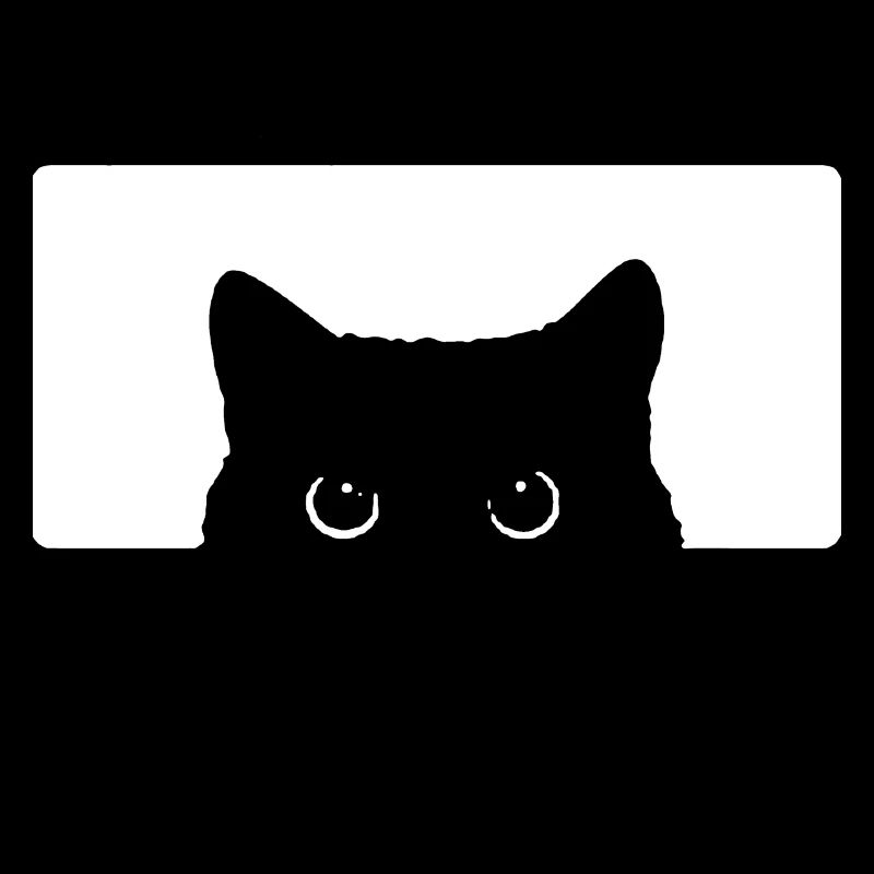 Katzenblick cat look