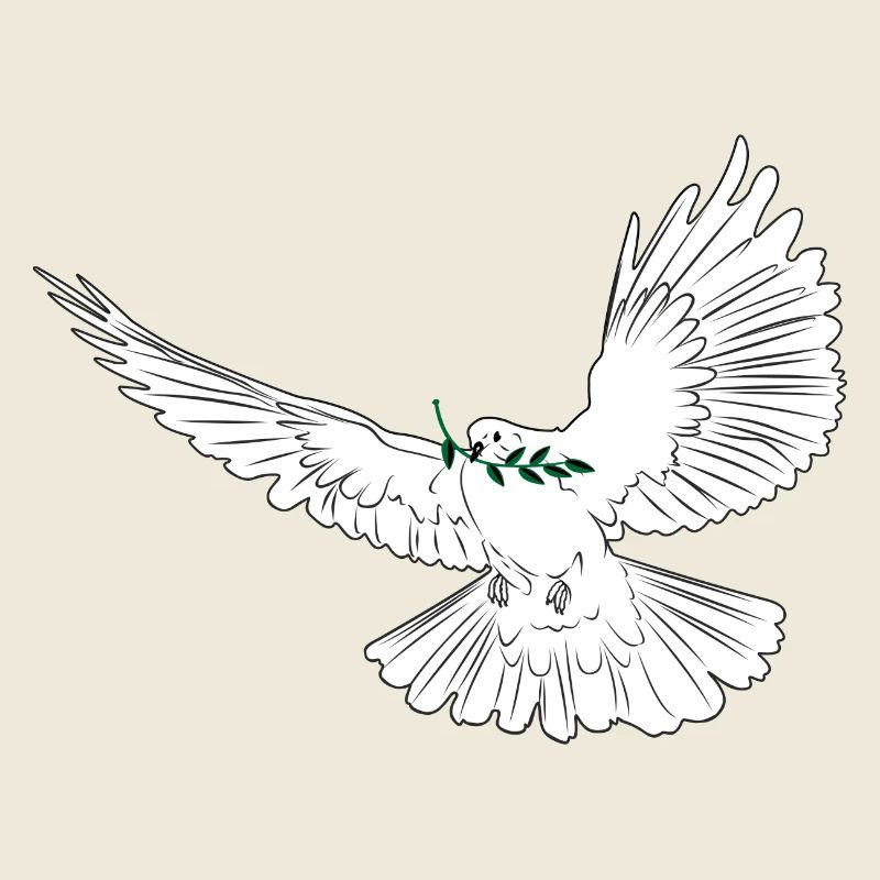 Tourterelle de la paix blanche avec branche de laurier