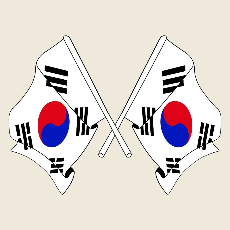 Deux drapeaux croisés de la Corée du Sud