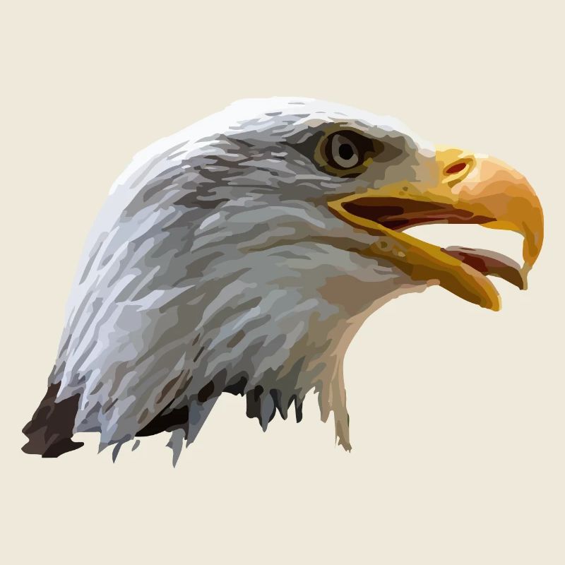 bald eagle