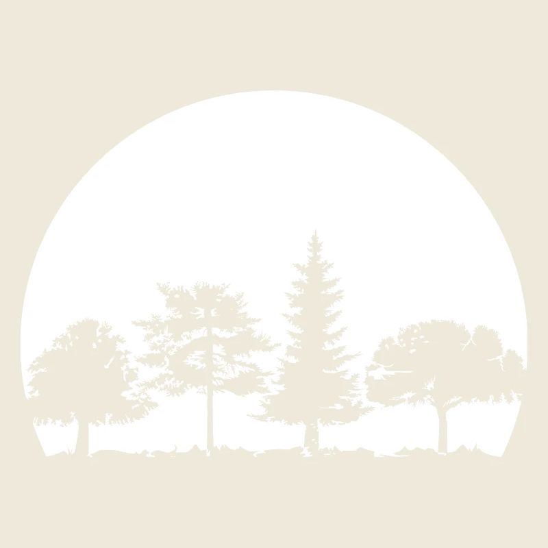 Forest, Moon, Mixed Forest, Nature, Oak, Beech, Birch, Spruce