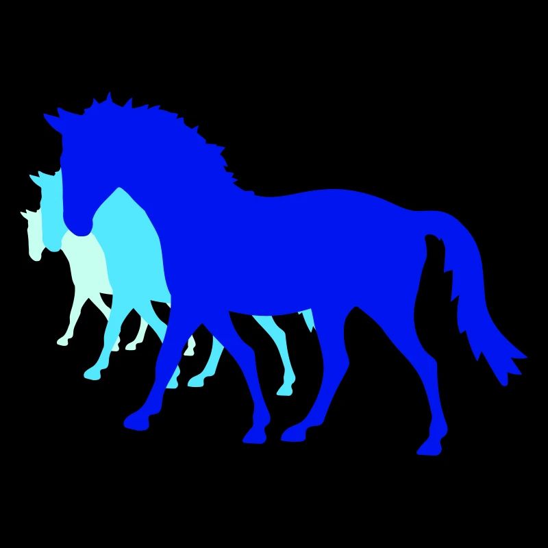 3 chevaux silhouette équipe cavalier équitation amis mignon